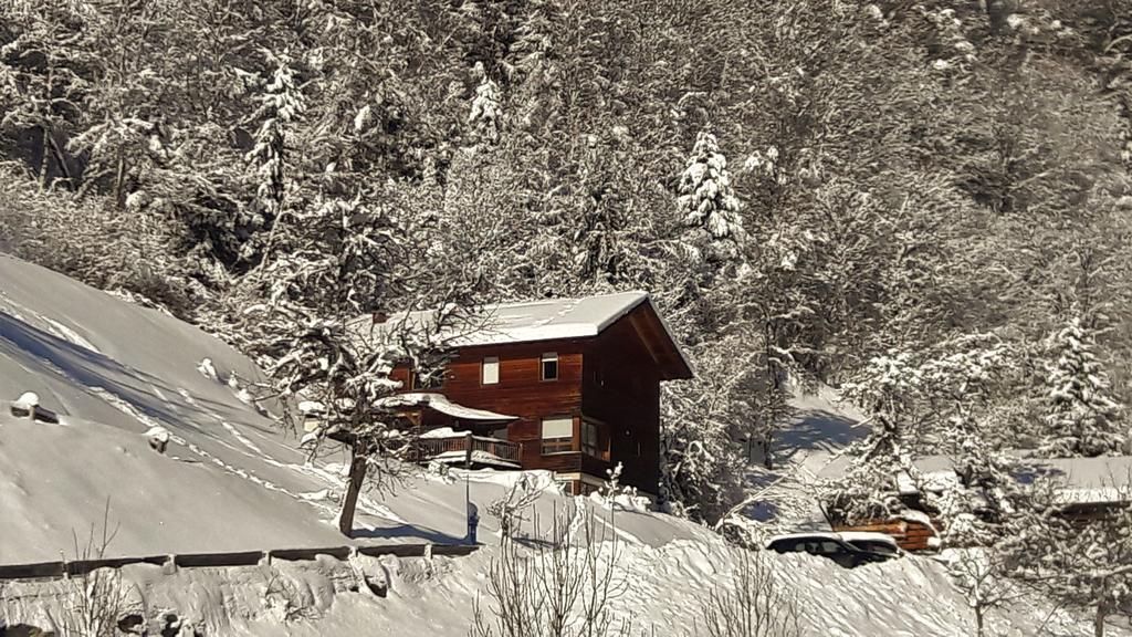 Haus Inge Διαμέρισμα Sankt Gallenkirch Εξωτερικό φωτογραφία