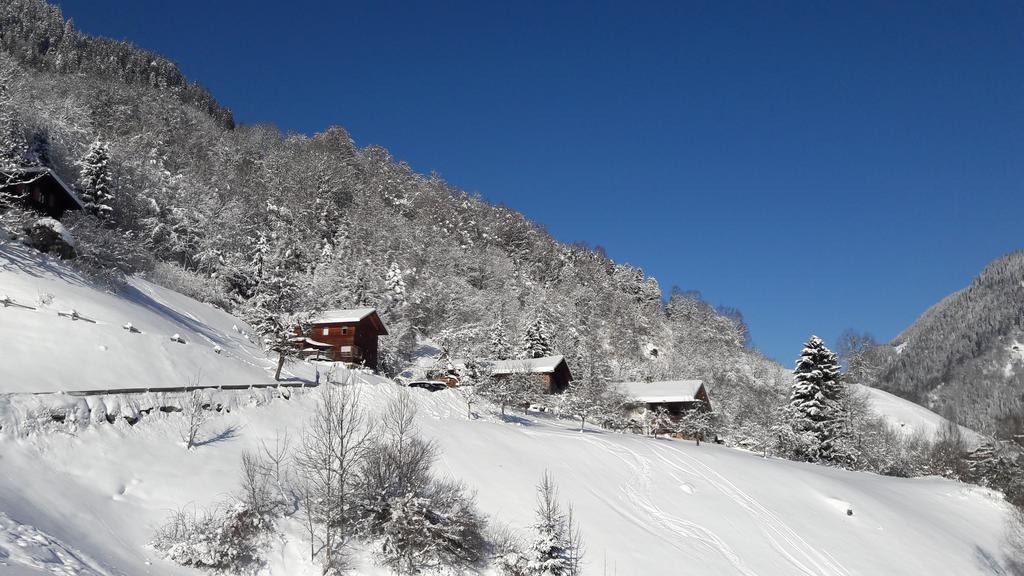 Haus Inge Διαμέρισμα Sankt Gallenkirch Εξωτερικό φωτογραφία